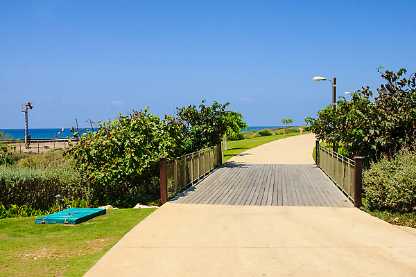 포토 JPG 해외이미지 공원 바다 중동 하늘 사람없음 초록색 도시풍경 산책 산책로 도시 지중해 이스라엘 해외포토 공공시설 나라 길 컬러 휴식 풍경 서아시아 파일형식 이미지허브