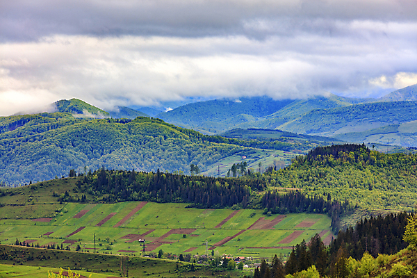 포토 JPG 해외이미지 구름 밭 농업 자연 하늘 아침 산 풍경 사람없음 야외 초록색 여름 파란색 빛 햇빛 농경지 마을 환경 계곡 농사 침묵 목장 회색 안개 흰색 시골 땅 언덕 그림 지역 직사각형 산악지대 블러 생태학 목가 해외포토 주간 자연요소 도형 계절 교육 산업 컬러 날씨 태양 농장 소리 생태계 파일형식 이미지허브