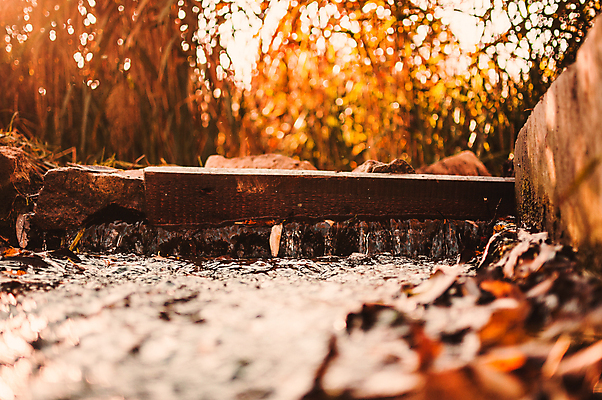 포토 JPG 해외이미지 백그라운드 단풍 낙엽 풍경 사람없음 아웃포커스 햇빛 가을 수로 나무판자 해외포토 계절 잎 촬영기법 목재 태양 파일형식 이미지허브