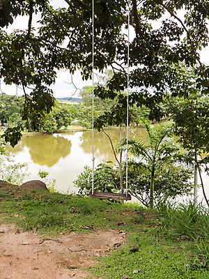 포토 JPG 해외이미지 나무 공원 호수 백그라운드 의자 장난 자연 놀이 휴식 매달리기 앉기 사람없음 야외 목재 초록색 여름 청춘 장난감 운동 정원 활발 기쁨 장비 자유 놀이터 승차 오브젝트 그네 옛날 해외포토 식물 계절 공공시설 감정 컬러 가구 컨셉 재료 모션 건강 생태계 파일형식 이미지허브