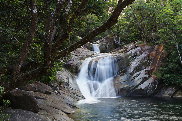 포토 JPG 해외이미지 나무 공원 여행 모션 자연 풍경 사람없음 야외 초록색 물 강 평화 봄 폭포 흐름 가을 바위 개울 황무지 호주 떨어짐 숲 장면 내추럴 해외포토 자연요소 식물 계절 공공시설 컬러 컨셉 돌_바위 오세아니아 생태계 파일형식 이미지허브