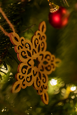 포토 JPG 해외이미지 모양 나무 전통 계절 행복 별 종교 크리스마스 겨울 공 가족 휴가 전등 주택 매달리기 선물 사랑 사람없음 목재 장식 빛 산타클로스 축제 화환 기쁨 장식볼 흰색 시골 소나무 예수 황금 마법 노엘 핸드메이드 클라우스 해외포토 자연요소 식물 기념일 꽃 감정 컬러 재료 관계 모션 조명 건물 신_종교 파일형식 이미지허브