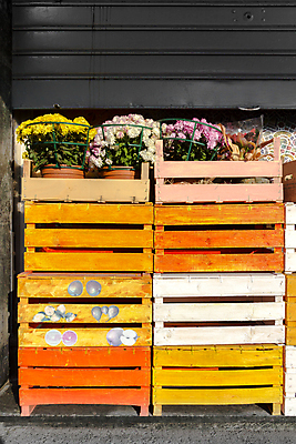 포토 JPG 해외이미지 식물 꽃 오렌지 자연 사람없음 야외 목재 장식 세로 초록색 상자 컬러풀 쌓기 상점 정원 회색 수확 흰색 냄비 나무상자 컨테이너 원예 복고 수납 셔터 해외포토 나무 산업 컬러 농업 과일 재료 모션 취미 솥 생태계 파일형식 이미지허브