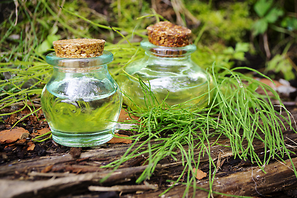 포토 JPG 해외이미지 식물 배너 음식 줄기 잎 텍스트 유리 프레임 요리 사람없음 목재 초록색 노란색 덮개 흰색 물방울 나뭇가지 닫기 차 약초 허브 질감 조제 총알 고립 추출 투입 해외포토 나무 무기 음료 컬러 재료 모션 재질 약 뚜껑 풀_식물 만들기 파일형식 이미지허브