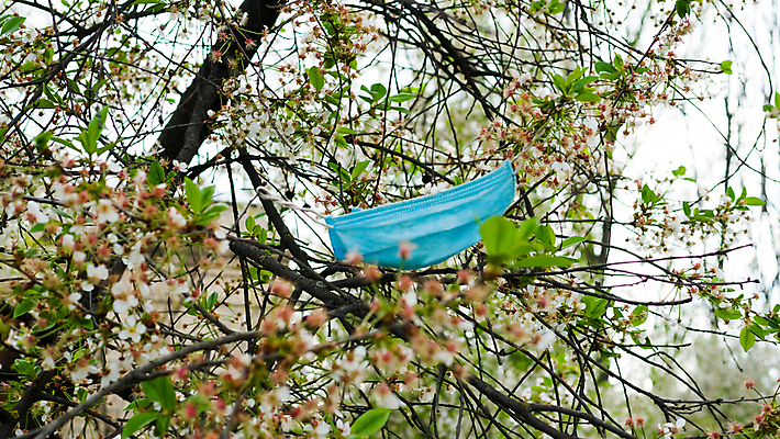 포토 JPG 해외이미지 백인 얼굴 백그라운드 컨셉 잎 신체 휴식 건강 병원 가면 안전 사람 성인 사람없음 치료 초록색 파란색 뷰티 약 스파 화장품 장비 의사 흰색 수술 호흡기관 플랫 바이러스 보호 질병 위험 만화 허브 심볼 피부 오브젝트 싱글 감염 전염 점토 테라피 내추럴 고립 돌봄 소셜 위생관리 전염병 필터 살균 해외포토 서양인 식물 컬러 의학 모션 관리 신체부위 의료진 장기_의학 파일형식 이미지허브