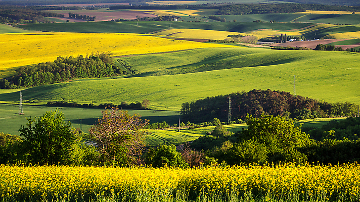 포토 JPG 해외이미지 나무 구름 계절 백그라운드 잎 밭 농업 자연 하늘 날씨 풍경 사람없음 야외 초록색 여름 파란색 컬러풀 햇빛 농가 농장 환경 봄 활발 성장 시골 신선 땅 밀 언덕 그림 장면 내추럴 밭일 해외포토 자연요소 식물 산업 컬러 컨셉 곡류 태양 생태계 파일형식 이미지허브