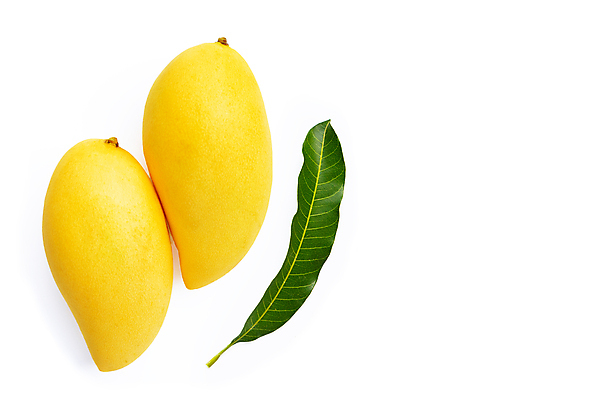 포토 JPG 해외이미지 잎 실내 사람없음 두개 열대과일 흰배경 망고 카피스페이스 해외포토 식물 백그라운드 2 과일 내부 공백 흰색 파일형식 이미지허브