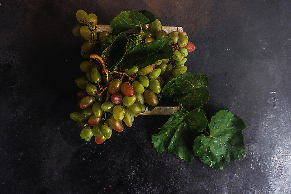 포토 JPG 해외이미지 계절 음식 백그라운드 컨셉 잎 과일 탁자 포도 디저트 프레임 건강 사람없음 목재 여름 상자 바구니 와인 식사 가을 바위 신선 먹기 유기농 포도밭 포도나무 숙성 콘크리트 카피스페이스 해외포토 나무 식물 웰빙 가구 밭 재료 모션 주류 공백 돌_바위 과일나무 파일형식 이미지허브