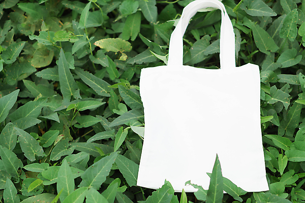 포토 JPG 해외이미지 손 디자인 백그라운드 가방 사람없음 초록색 유행 공백 핸드백 면 컨테이너 고객 에코 유기농 캔버스 내추럴 거짓 목업 해외포토 웰빙 잡화 산업 컬러 신체부위 환경 파일형식 이미지허브