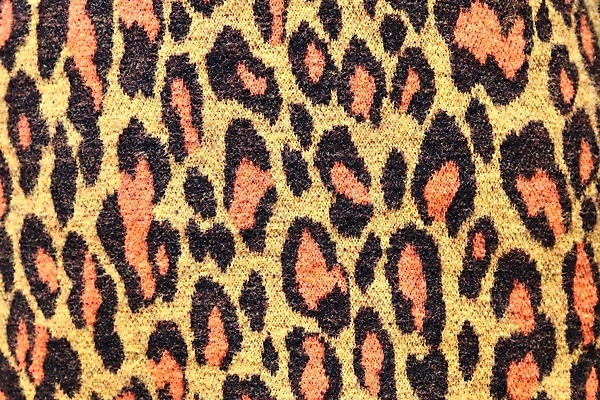 포토 JPG 해외이미지 디자인 드레스 옷 백그라운드 셔츠 패턴 비즈니스 표면 넥타이 추상 정장 사람없음 빨간색 초록색 파란색 빛 컬러풀 유행 쌓기 상점 청바지 직물 면 커튼 시장 고급 우아함 매끈함 실크 질감 구김 접기 스타일 카피스페이스 해외포토 잡화 컬러 컨셉 상의 무늬 바지 모션 공백 감각 파일형식 이미지허브