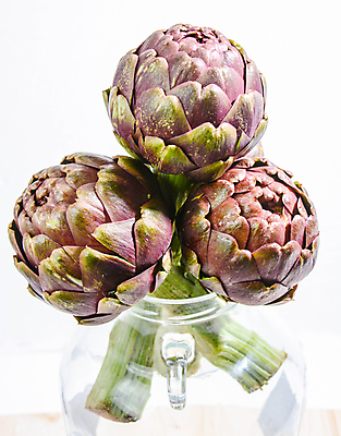 포토 JPG 해외이미지 채소 사람없음 앙트레 해외포토 파일형식 이미지허브