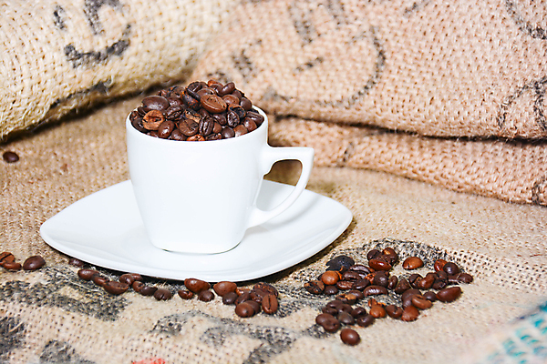 포토 JPG 해외이미지 커피 콩 사람없음 기쁨 원두 에스프레소 블랙커피 카페인 해외포토 감정 음료 곡류 파일형식 이미지허브