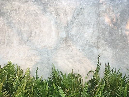 포토 JPG 해외이미지 나무 식물 디자인 벽 백그라운드 잎 패턴 자연 벽지 표면 추상 열대 그림자 풍경 사람없음 야외 장식 초록색 여름 햇빛 환경 정원 회색 수확 흰색 나뭇가지 신선 질감 시멘트 아이비 내추럴 옛날 콘크리트 해외포토 계절 컬러 무늬 농업 태양 생태계 파일형식 이미지허브