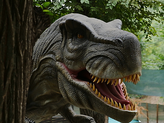 포토 JPG 해외이미지 모델 사람없음 숫자 머리 피규어 입 치아 공룡 흰배경 눈금 육식동물 선사시대 턱 몬스터 정물화 쥬라기 해외포토 동물 문자 백그라운드 파충류 신체부위 미니어처 흰색 소화기관 역사 그림 파일형식 이미지허브