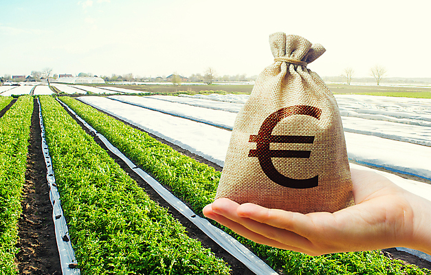 포토 JPG 해외이미지 손 산업 밭 농업 채소 들기 풍경 신체부위 경제 농장 유로 돈자루 수입 지원 해외포토 돈 모션 사람 파일형식 이미지허브