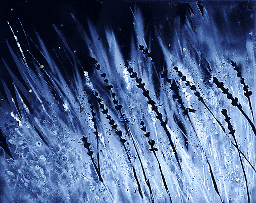 포토 JPG 해외이미지 식물 디자인 계절 백그라운드 컨셉 잎 패턴 밭 자연 벽지 표면 바람 추상 미술 풍경 잔디 사람없음 파란색 빛 뷰티 환경 검은색 어둠 활발 분위기 소프트포커스 불기 질감 네온 비네팅 광 땅바닥 블러 타격 스타일 효과 해외포토 자연요소 컬러 무늬 농업 모션 날씨 문화예술 바닥 촬영기법 생태계 파일형식 이미지허브