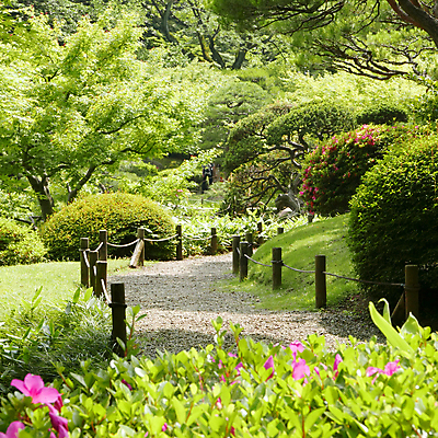 포토 JPG 해외이미지 나무 식물 계절 공원 꽃 도로 길 선 분홍색 백그라운드 자연 바닥 한국 사람없음 야외 장식 초록색 뷰티 정원 일본 중국 봄 시골 소나무 도쿄 오솔길 땅 정사각형 상록수 내추럴 스타일 해외포토 도형 공공시설 아시아 컬러 교통시설 생태계 파일형식 이미지허브