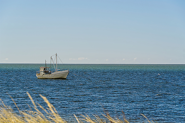 포토 JPG 해외이미지 구름 전통 산업 문화 바다 섬 여행 백그라운드 교통시설 자연 갈매기 하늘 낚시 휴가 항해 풍경 사람없음 목재 여름 파란색 컬러풀 태양 반사 여행객 항구 수확 만 그물 어선 보트 함선 상업 장면 낚시꾼 포트 발트해 스칸디나비아 옛날 해외포토 자연요소 나무 계절 컬러 교통 농업 배_교통 재료 조류 레저 북유럽 사람 시설 생태계 파일형식 이미지허브