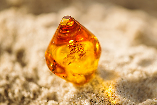 포토 JPG 해외이미지 자연 사람없음 빛 주황색 투명 보석 화석 앰버 해외포토 컬러 광석 생태계 파일형식 이미지허브