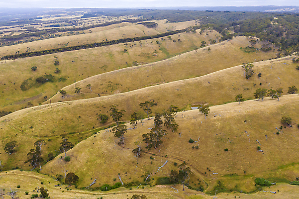 포토 JPG 해외이미지 나무 식물 공원 잎 자연 풍경 사람없음 야외 목재 초록색 갈색 환경 계곡 시골 호주 숲 언덕 지역 내추럴 삼림지대 오지 해외포토 공공시설 컬러 재료 오세아니아 생태계 파일형식 이미지허브