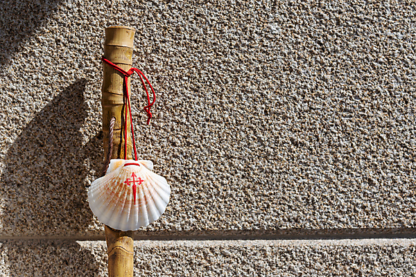 포토 JPG 해외이미지 아이콘 전통 기독교 벽 여행 컨셉 십자가 조개 그림자 사람없음 야외 햇빛 산책 트래킹 천주교 껍질 바위 스페인 황금 성자 방향 심볼 오브젝트 사인 기념품 가리비 루트 방법 선로 순례 순례자 화강암 카피스페이스 해외포토 유럽 종교 레저 어패류 휴식 태양 공백 암석 돌_바위 파일형식 이미지허브