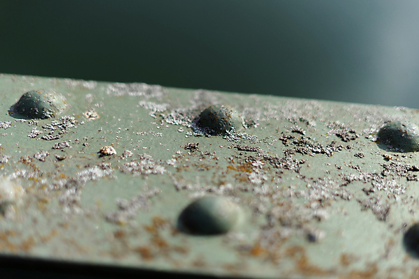 포토 JPG 해외이미지 접시 디자인 옷 산업 여행 백그라운드 신발 패턴 교통시설 벽지 추상 사람없음 야외 물 강 유행 환경 금속 검은색 힘 회색 은색 빗방울 철 묘사 부식 질감 트랙 내추럴 방법 옛날 철강 안락 해외포토 자연요소 식기 컬러 교통 컨셉 무늬 재질 비_날씨 시설 파일형식 이미지허브