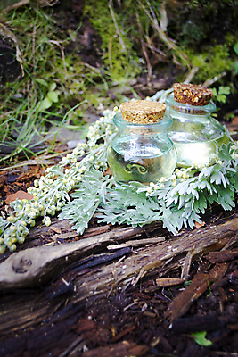 포토 JPG 해외이미지 식물 백그라운드 잎 자연 탁자 건강 사람없음 치료 초록색 뷰티 약 스파 바위 나뭇가지 신선 마사지 닫기 약초 약국 허브 유기농 향기 아로마 향 아로마테라피 테라피 내추럴 돌봄 에센스 추출 투입 해외포토 나무 웰빙 컬러 가구 의학 모션 화장품 돌_바위 풀_식물 생태계 냄새 파일형식 이미지허브