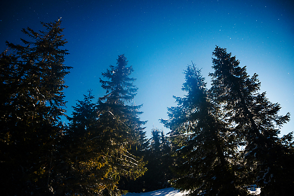 포토 JPG 해외이미지 나무 계절 별 과학 백그라운드 겨울 자연 하늘 휴가 불꽃 산 풍경 사람없음 파란색 뷰티 우주 환경 검은색 어둠 꿈 안개 야간 숲 달빛 언덕 코스모스 서리 은하계 점성술 공상 마법 전나무 별빛 성운 내추럴 깊이 절정 가문비나무 해외포토 자연요소 식물 꽃 컬러 불 날씨 빛 달 생태계 파일형식 이미지허브