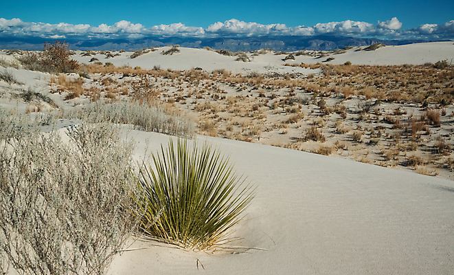 포토 JPG 해외이미지 식물 공원 여행 백그라운드 패턴 자연 하늘 건조 국립공원 풍경 사람없음 파란색 모래사장 미국 사막 흰색 황무지 모래언덕 부식 결정체 천연기념물 내추럴 잔물결 전국 해외포토 공공시설 물결 바다 컬러 북아메리카 무늬 언덕 생태계 파일형식 이미지허브