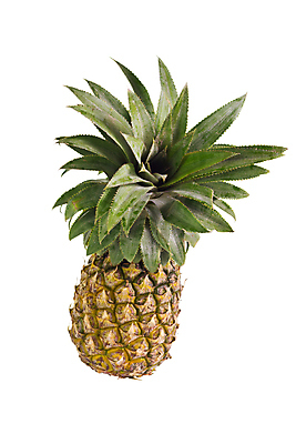 포토 JPG 해외이미지 식물 1 음식 백그라운드 잎 다이어트 과일 자연 디저트 건강 사람없음 초록색 노란색 주스 흰색 신선 달콤 파인애플 싱글 유기농 날것 고립 숙성 해외포토 웰빙 음료 컬러 맛 열대과일 생태계 파일형식 이미지허브