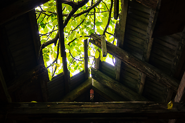 포토 JPG 해외이미지 산업 벽 잎 패턴 의자 건축양식 공장 자연 주택 병원 그림자 사람없음 내부 건물 금속 기계 손상 방 수확 골동품 덮개 죽음 오픈 사건 빌라 버리기 천장 복고 먼지 천국 고립 다락방 땅바닥 파멸 혼란 혼자 해외포토 식물 건축물 건축 가구 컨셉 무늬 농업 공업 의학 모션 재질 바닥 뚜껑 생태계 파일형식 소멸 이미지허브