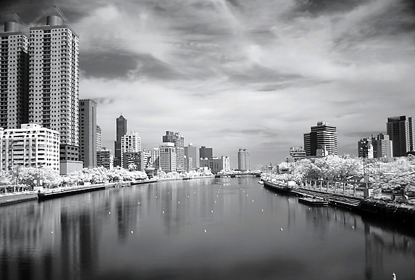 포토 JPG 해외이미지 나무 공원 흑백 파노라마 사람없음 건물 물 강 반사 고층빌딩 도시 대만 스카이라인 적외선 해외포토 자연요소 식물 건축물 공공시설 아시아 촬영기법 빌딩 파일형식 이미지허브