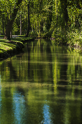 포토 JPG 해외이미지 계절 호수 자연 하늘 파노라마 풍경 사람없음 초록색 여름 파란색 빛 강 햇빛 태양 뷰티 일출 환경 계곡 맑음 침묵 봄 오픈 숲 언덕 장면 생태학 해외포토 자연요소 교육 컬러 날씨 촬영기법 노을 소리 생태계 파일형식 이미지허브