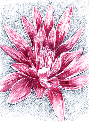 포토 JPG 해외이미지 식물 디자인 꽃잎 꽃 분홍색 백그라운드 잎 꽃무늬 일러스트 자연 벽지 미술 사람없음 장식 빨간색 물 컬러풀 정원 보라색 스파 봄 수확 벚꽃 흰색 직물 신용카드 개화 인쇄 스케치 달리아 그림 질감 복고 내추럴 그런지 옛날 이국적 해외일러스트 자연요소 계절 컬러 무늬 농업 문화예술 금융 생태계 파일형식 이미지허브