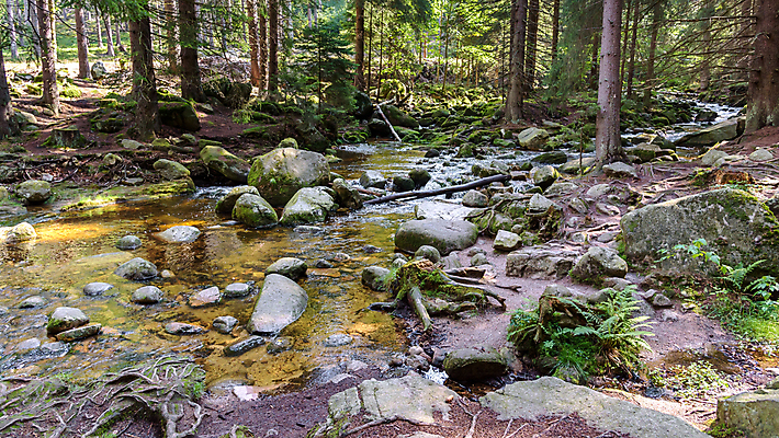 포토 JPG 해외이미지 나무 식물 공원 야생동물 여행 백그라운드 자연 산 풍경 사람없음 야외 초록색 물 여름 강 폭포 흐름 가을 바위 개울 떨어짐 숲 광택 폴란드 내추럴 전국 해외포토 자연요소 동물 계절 공공시설 유럽 컬러 컨셉 돌_바위 생태계 파일형식 이미지허브