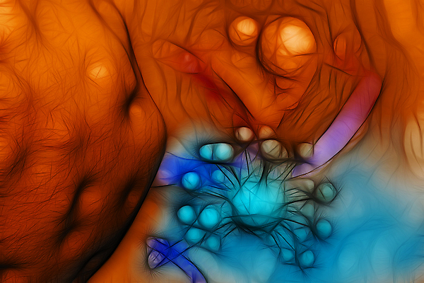 포토 JPG 해외이미지 의학 세포 사람없음 파란색 갈색 3D 질병 디지털합성 암 종양 해외포토 컬러 파일형식 이미지허브