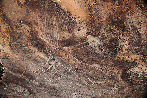 포토 JPG 해외이미지 디자인 종이 벽 백그라운드 패턴 자연 벽지 표면 추상 사람없음 갈색 검은색 페인트 회색 바위 흰색 거친 질감 시멘트 거미 캥거루 그런지 옛날 해외포토 컬러 곤충 무늬 포유류 돌_바위 생태계 파일형식 이미지허브