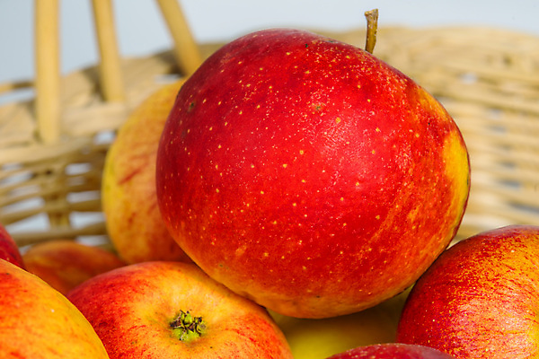 포토 JPG 해외이미지 음식 백그라운드 다이어트 과일 건강 사람없음 빨간색 초록색 빛 바구니 우주 정원 침묵 수확 달콤 사과 소프트포커스 책상 섬유 해외포토 컬러 가구 농업 촬영기법 소리 직물 맛 파일형식 이미지허브