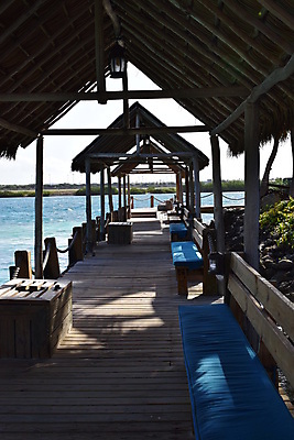 포토 JPG 해외이미지 나무 모래 바다 섬 여행 자연 하늘 휴가 손바닥 풍경 사람없음 야외 물 여름 파란색 야자수 맑음 흰색 휴양지 코코넛 카리브해 이국적 파라다이스 수평선 해외포토 자연요소 식물 손 계절 컬러 과일 날씨 장소 생태계 파일형식 이미지허브