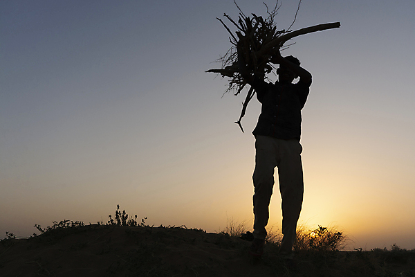 포토 JPG 해외이미지 어린이 여행 소년 사람없음 야외 햇빛 일몰 새벽 캠핑 사막 저녁 장작 그림 해외포토 자연요소 남자 레저 사람 태양 노을 야간 파일형식 이미지허브
