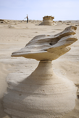 포토 JPG 해외이미지 모양 디자인 실루엣 모래 과학 여행 중동 자연 건조 풍경 사람없음 뷰티 사막 시골 점 화석 지역 암초 멀리 아랍에미리트 관심 울퉁불퉁 지질학 흥미 해외포토 교육 나라 컨셉 촬영기법 생태계 파일형식 이미지허브