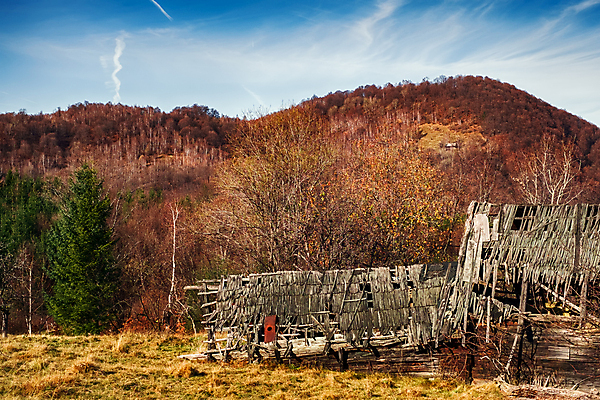 포토 JPG 해외이미지 외관 여행 백그라운드 밭 농업 건축양식 창문 자연 하늘 주택 풍경 사람없음 건물 목재 농가 농장 손상 수확 골동품 가을 시골 버리기 폐허 시골집 그런지 깨짐 썩음 옛날 파멸 판잣집 오싹 해외포토 나무 건축물 계절 건축 산업 컨셉 재료 모션 생태계 파일형식 소멸 이미지허브