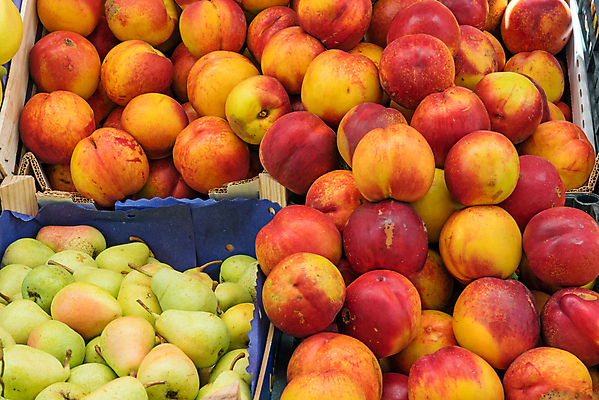 포토 JPG 해외이미지 음식 백그라운드 농업 다이어트 오렌지 과일 건강 사람없음 빨간색 초록색 농작물 세트 노란색 이탈리아 수확 신선 그룹 시장 닫기 농부 무역 유기농 상업 복숭아 흙더미 내추럴 바이오 숙성 천도복숭아 많음 해외포토 직업 웰빙 유럽 산업 컬러 컨셉 모션 흙 파일형식 더미 이미지허브