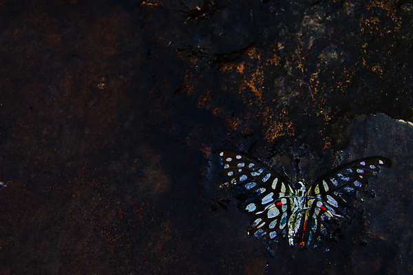 포토 JPG 해외이미지 감정 백그라운드 컨셉 표면 추상 종류 사람없음 물 뷰티 환경 검은색 고통 슬픔 죽음 표현 좌절 질감 깨짐 땅바닥 우울감 우울증 적자 해외포토 자연요소 컬러 무늬 바닥 질병 파일형식 이미지허브