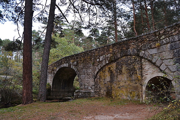 포토 JPG 해외이미지 나무 외관 공원 유럽 도로 벽 여행 건축양식 자연 하늘 풍경 사람없음 야외 건물 초록색 여름 파란색 교회 바위 중세 역사 숲 폐허 아치 옛날 해외포토 식물 건축물 계절 공공시설 건축 나라 길 컬러 종교건축 교통시설 돌_바위 생태계 파일형식 이미지허브