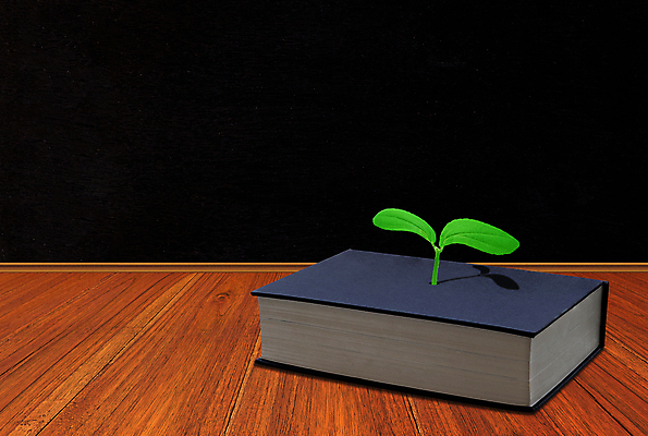 포토 JPG 해외이미지 식물 학생 디자인 교육 과학 백그라운드 컨셉 비즈니스 교실 학교 자연 성공 아이디어 창조 사람없음 책 스터디 칠판 장비 성장 기록 가르침 심볼 오브젝트 그림 분필 대학교 혁명 경영 발명 생태학 전진 해외포토 학습 초크 생태계 파일형식 이미지허브