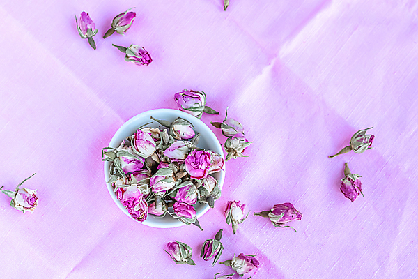 포토 JPG 해외이미지 디자인 꽃잎 꽃 분홍색 결혼 백그라운드 꽃무늬 패턴 추상 휴가 휴식 부활절 기념 발렌타인데이 건강 사랑 미술 이벤트 사람없음 장식 초록색 뷰티 장미 스파 봄 수확 흰색 축하 신선 생일 향수 질감 향기 심플 아로마 아로마테라피 내추럴 정물화 파스텔톤 해외포토 식물 계절 기념일 감정 컬러 컨셉 무늬 농업 데이이벤트 문화예술 화장품 그림 냄새 테라피 파일형식 이미지허브