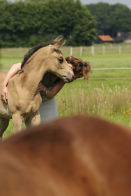 포토 JPG 해외이미지 동물 한마리 라이프스타일 여자 행복 감정 포옹 자연 키스 사랑 한명 사람 사람없음 친구 농장 목장 우정 승마 연결 동료 부드러움 나눔 대가리 돌봄 동반자 여자한명만 성인여자만 정확 해외포토 1 스포츠 컨셉 농업 관계 안기 모션 생활 감각 애정표현 생태계 여자만 성인만 파일형식 이미지허브