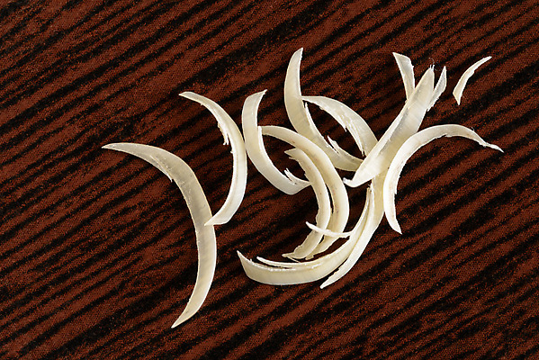 포토 JPG 해외이미지 손 탁자 뿔 사람없음 못 손톱 자르기 묘사 해외포토 가구 모션 신체부위 공구 파일형식 이미지허브