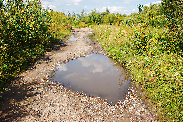 포토 JPG 해외이미지 나무 식물 구름 계절 도로 길 백그라운드 잎 밭 자연 하늘 풍경 사람없음 야외 목재 초록색 물 여름 파란색 태양 뷰티 마을 환경 계곡 맑음 젖음 시골 숲 땅 러시아 웅덩이 먼지 장면 지역 내추럴 땅바닥 방법 선로 시베리아 수평선 해외포토 자연요소 유럽 컬러 농업 재료 교통시설 날씨 바닥 생태계 파일형식 이미지허브
